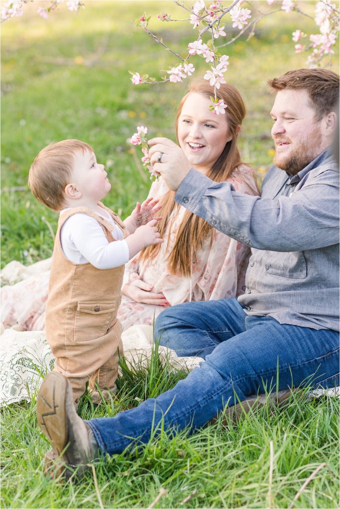 Plummer family | Cider Hill Family Orchard apple blossom maternity photos | Kelsey Alumbaugh Photography | #appleblossomsession #springmotherhoodphotos #motherhoodphotos #appleblossoms #kcappleblossom #springfamilyphotos