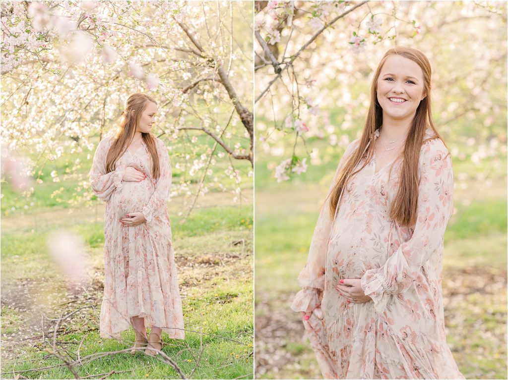 Plummer family | Cider Hill Family Orchard apple blossom maternity photos | Kelsey Alumbaugh Photography | #appleblossomsession #springmotherhoodphotos #motherhoodphotos #appleblossoms #kcappleblossom #springfamilyphotos