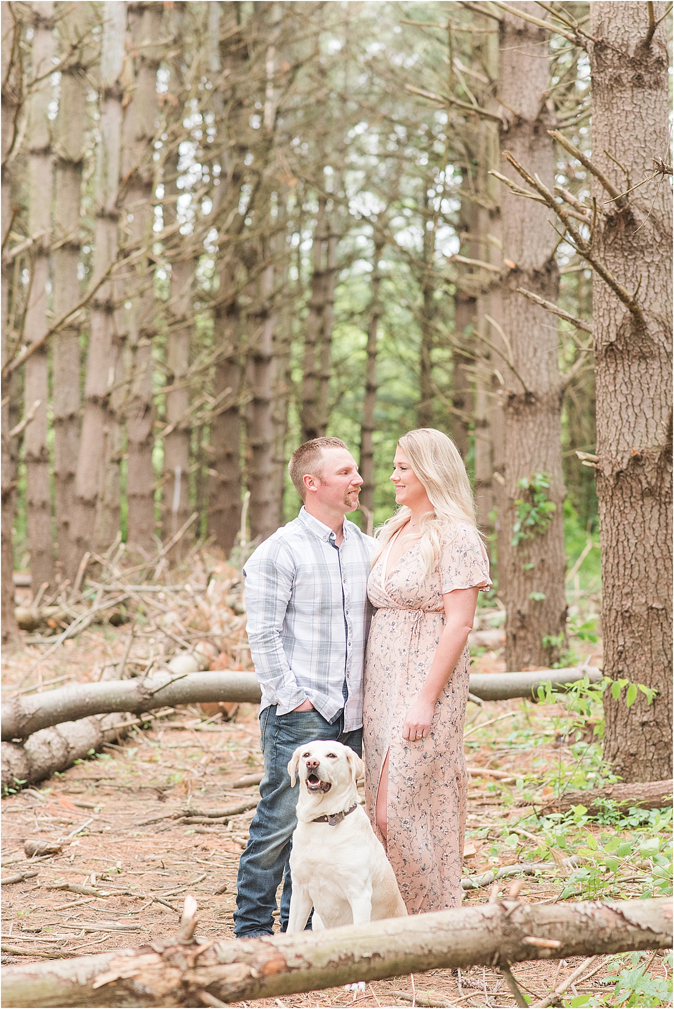 5 tips for bringing your dog to your session | Missouri wedding + family photographer | Kelsey Alumbaugh Photography | #missouriweddingphotographer #missourifamilyphotographer #midwestweddingphotographer #dogsatweddings