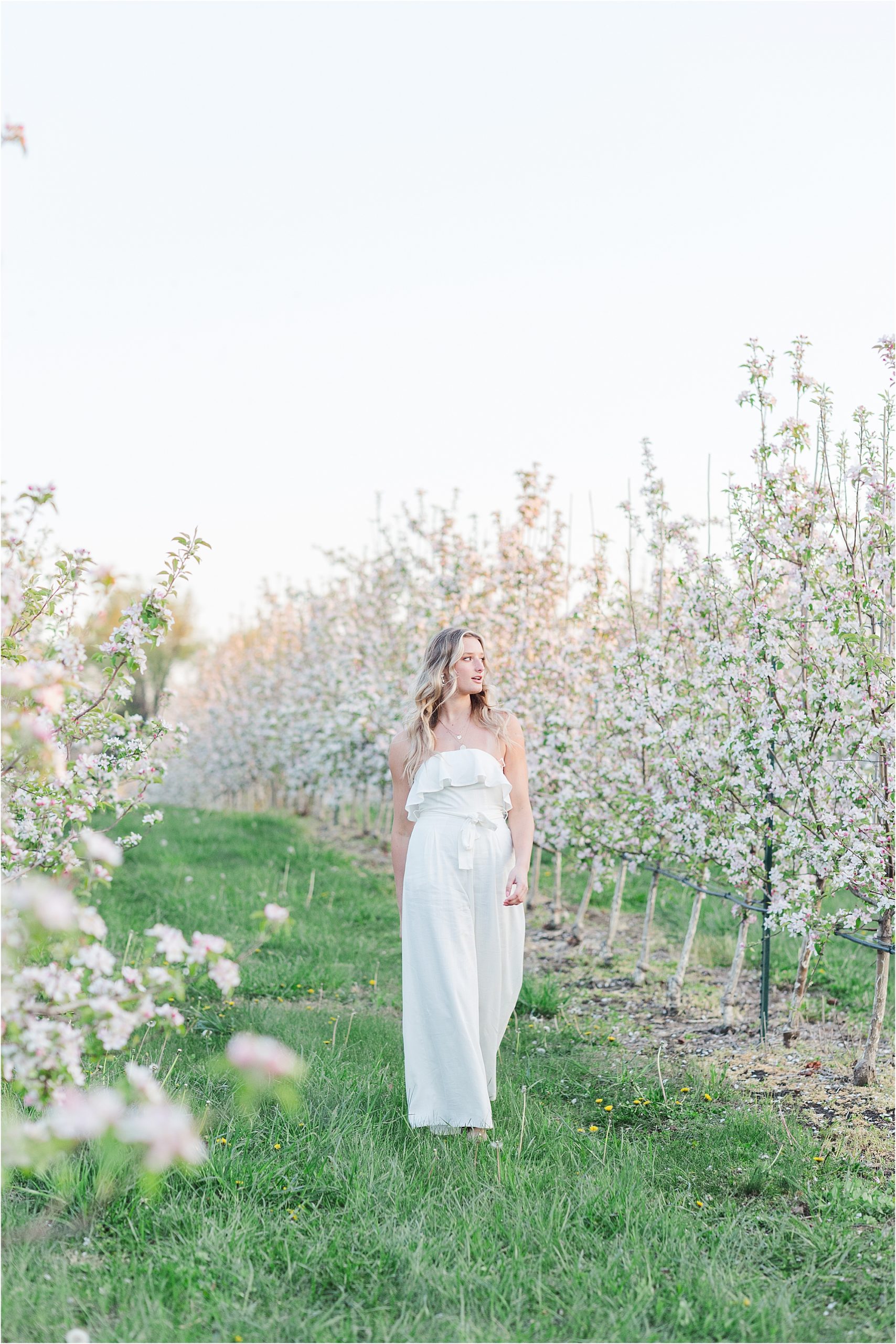Emma | Cider Hill Family Orchard apple blossom senior photos | | Kelsey Alumbaugh Photography | #appleblossomsession #springseniorphotos #seniorphotos #appleblossoms #kcappleblossom